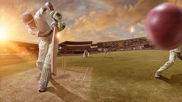 Evaluating the concept of risk tolerance in cricket betting