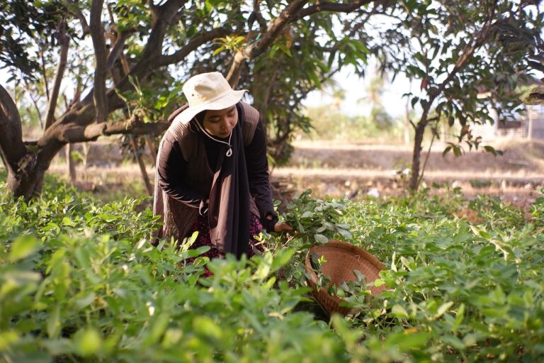 Analyzing the Impact of Brexit on the Chocolate Industry